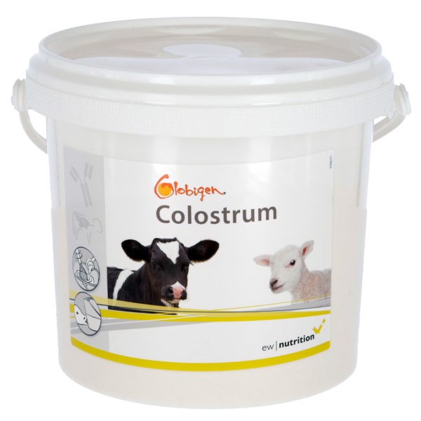 Seau 1 Kg GLOBIGEN COLOSTRUM 