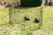 Enclos extérieur pour chiots ou rongeurs H78 cm - 8 panneaux
