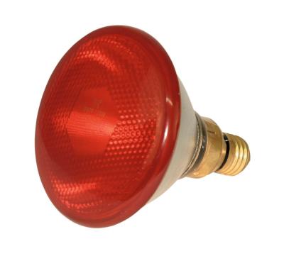 Lampe Kerbl PAR 38 175W rouge