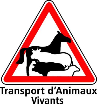 Panneau Transport d'animaux vivants 20x20cm blanc