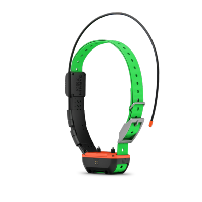 Collier de suivi et dressage GARMIN TT25F