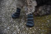 Chaussures pour chien Active gris/noir