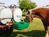 Abreuvoir à flotteur double S60 pour tonne à eau