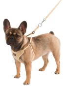 Harnais pour chiots beige, 24-44cm, 10mm