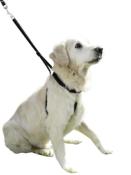 Harnais pour chien Maxi Leader 30-45 cm